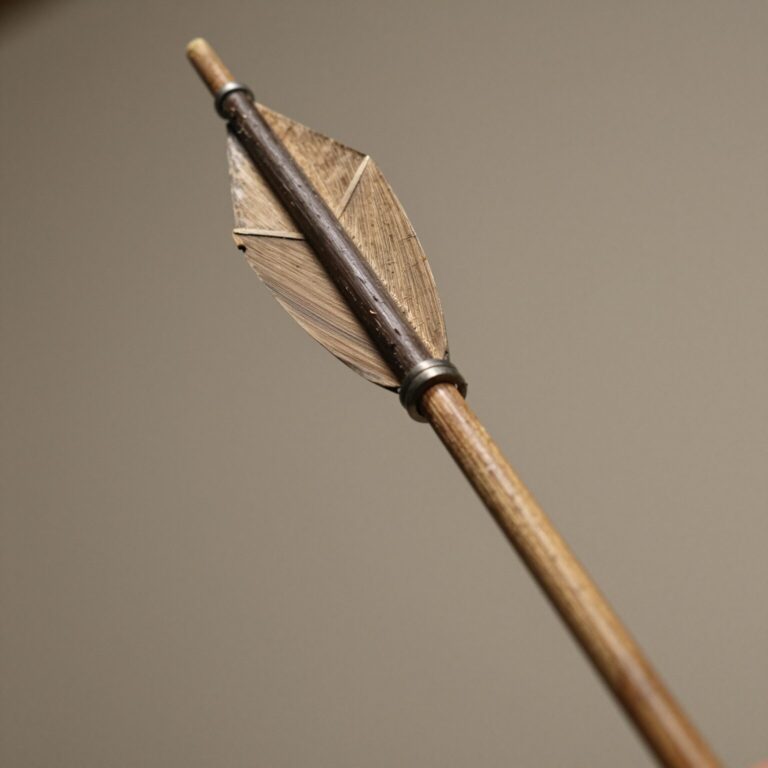 가지에 코르크 날개가 붙어 있는 화살나무의 가까운 모습