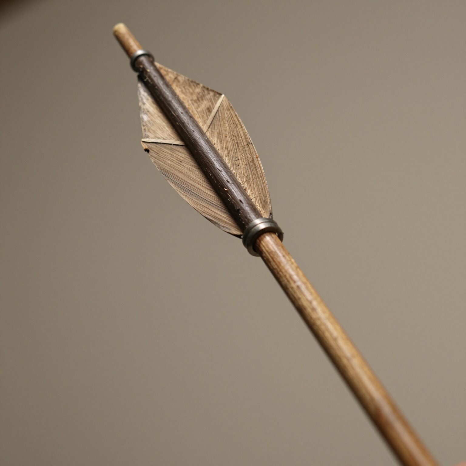 가지에 코르크 날개가 붙어 있는 화살나무의 가까운 모습