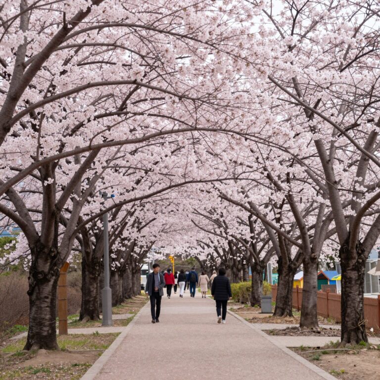 부산 민주공원에 핀 풍성한 분홍색 겹벚꽃 나무와 산책로