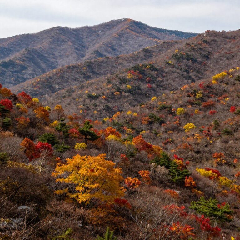 파키스탄 춘다 밸리의 가을 단풍과 산맥 풍경