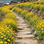 2026 구례 산수유축제 노란꽃물결 만나는 봄여행 구례 산수유꽃축제 노란꽃이 만개한 돌담길 풍경