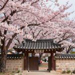 백운암 입구에서 바라본 핑크빛 겹벚꽃 나무와 연산홍 꽃이 함께 핀 봄 풍경