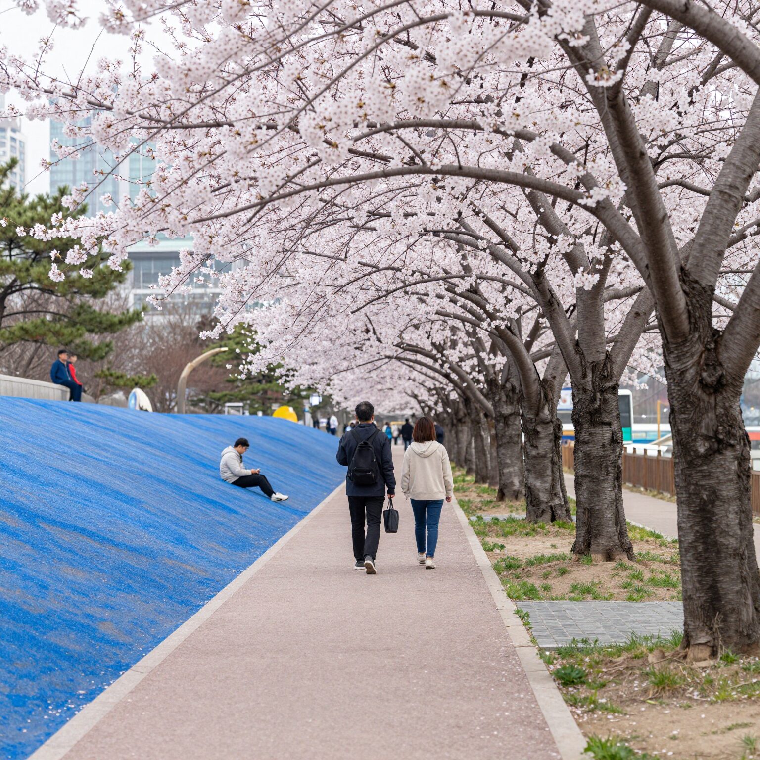부산 유엔공원 겹벚꽃이 핀 산책로와 푸른 잔디밭 풍경