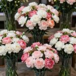 여러 개의 카네이션꽃다발이 정돈되게 나란히 놓여 있는 모습
