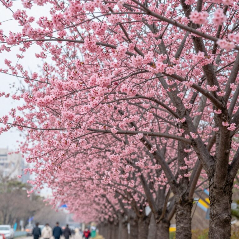 봄에 붉게 핀 명자나무 꽃 가지