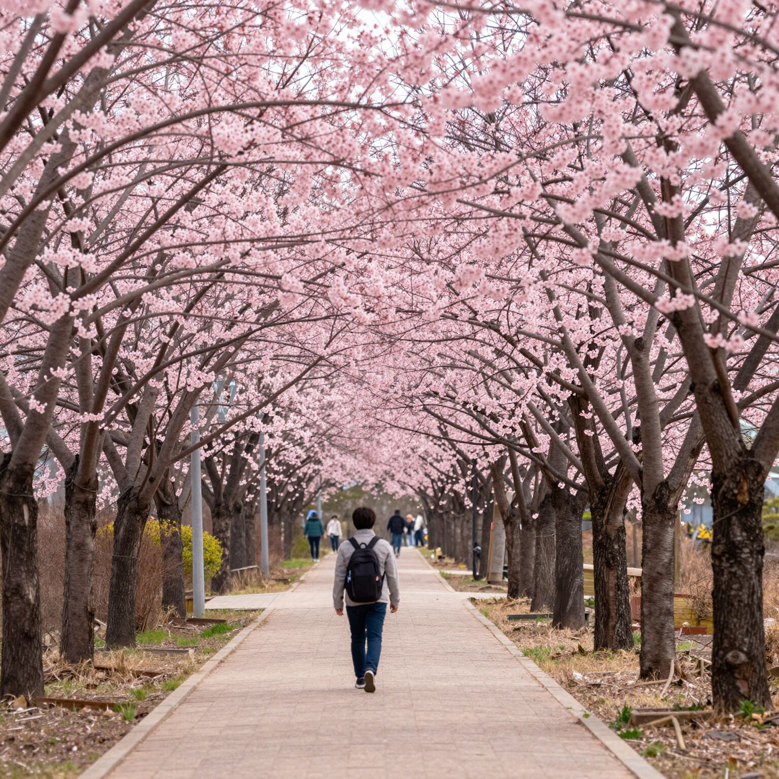 군포 철쭉동산 핑크빛 철쭉 길 산책로 풍경