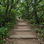 보성 초암산 수남저수지 코스의 잘 정비된 등산로와 주변 숲 풍경