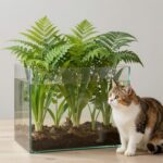 다이소 캣그라스 수경재배 키트 구성품과 자라난 풀