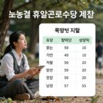 노동절 휴일근로수당 계산법 표로 정리한 이미지