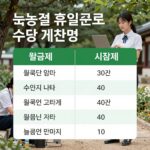 노동절 휴일근로 수당 계산법 요약 인포그래픽 월급제 시급제 비교