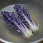 삶아서 찬물에 헹군 푸른 두릅이 체반에 담겨 있는 모습