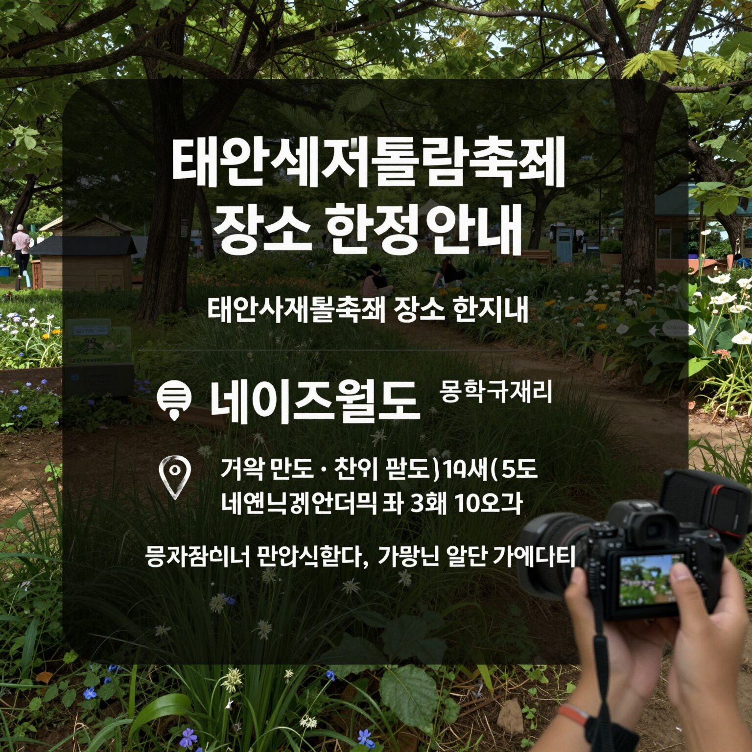 태안 세계튤립축제 장소 변경 안내 및 네이처월드 위치 표시