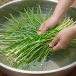 물에 담가 깨끗이 세척한 쑥을 채반에 받쳐 물기를 빼는 과정