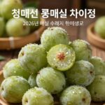 매실 수확시기 2026년 청매실 황매실 차이는 2026년 매실 수확시기 청매실과 황매실 차이점 비교