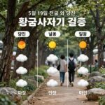 5월 19일 전국 날씨와 주요 일정 5월 19일 전국 날씨와 당진 전국노래자랑 황금사자기 결승 일정을 한눈에 보여주는 인포그래픽