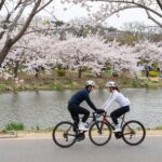 의왕레일바이크 봄 풍경 왕송호수와 철쭉꽃이 만개한 모습